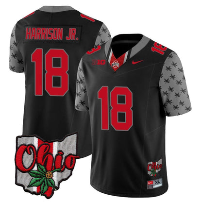 Men's Ohio State Buckeyes 2023 Gray Alternate Jersey V2 - Stitched